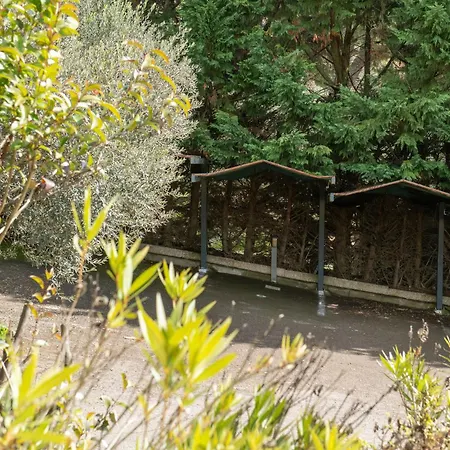 - Trasimeno San Feliciano