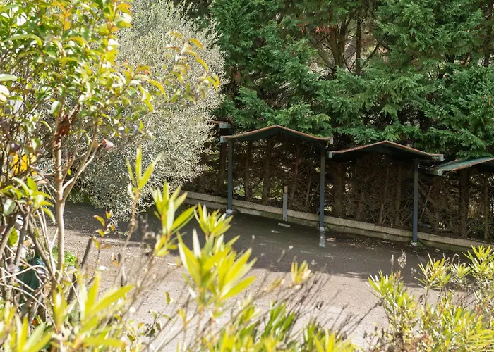 - Trasimeno San Feliciano