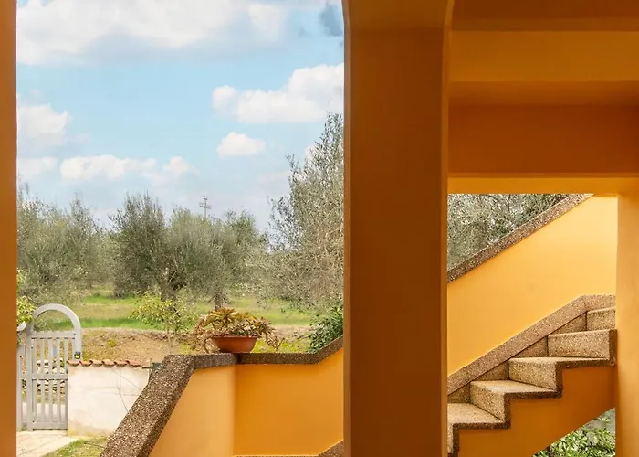 - Trasimeno San Feliciano